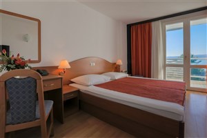 Hotel International